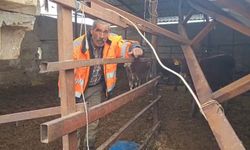 Gaziantep'te yoğun kar yağışı sonrası ahırın çatısı çöktü