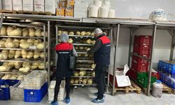 Gıda denetimlerinde 'yaka kamerası' uygulamasına geçiliyor