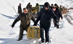 Gümüşhane'de aç kalan yaban hayvanları için seferberlik