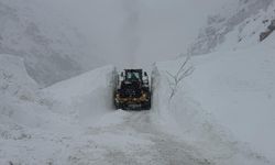 Hakkari-Şırnak kara yoluna çığ düştü
