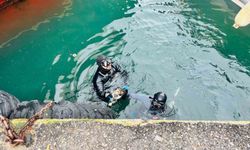 İzmir İtfaiyesi, iskele altında sıkışan kediyi kurtardı