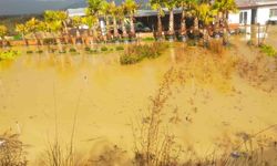 İzmir sağanağa teslim: Yollar ve tarım arazileri sular altında