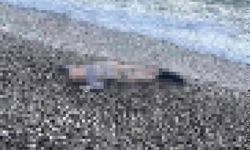 İzmir'de deniz kıyısında çocuk cesedi