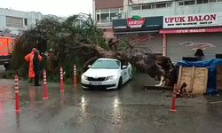 İzmir'de sağanak ve fırtına hayatı felç etti