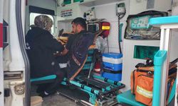 Karla mücadele ekipleri yolları açıyor, hastalara zamanında müdahale yapılıyor