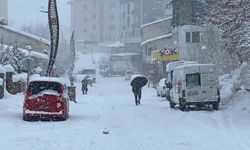 Karlıova'da kar yağışı başladı