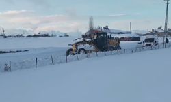 Kars'ta 'kar kaplanları'ndan hayat mesaisi