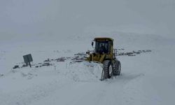 Kars'ta kar kaplanlarının 2 bin 100 rakımda zorlu mesaisi