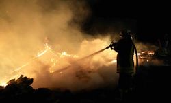 Kastamonu'da çıkan yangında 3 ev zarar gördü, 2 samanlık yandı