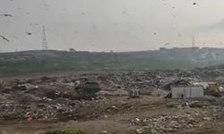 Katı Atık Tesisinde vahşi depolama yapan Bursa Büyükşehir Belediyesi'ne 1.8 milyon TL ceza