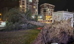 Kayseri'de kuvvetli rüzgar: Ağaç otomobilin üzerine devrildi