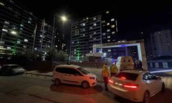 Kız kardeşini öldürdü, annesini ağır yaralayıp intihar etti