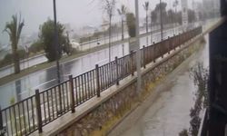 Kontrolden çıkan otomobil refüjdeki ağaca çarpıp takla attı