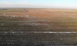 Konya Ovası'nda karsız sezon endişesi