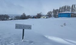 Köyün kâbusu olan kurtlar için araziye yiyecek bırakıldı