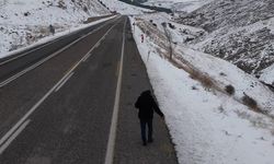 Kuşlar için yol kenarlarına buğday serptiler