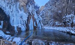 Malatya'da Gürpınar Şelalesi buz tuttu