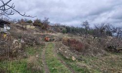 Manisa'da kaybolan kadın için arama çalışması ikinci gününde sürüyor