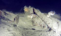 Marmara Denizi'ne 50 yıl önce düşen uçağın yeni parçaları bulundu