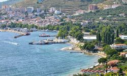 Marmara'da şap hastalığı alarmı