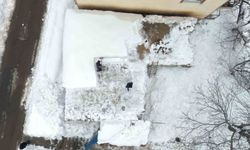 Muş'ta tek katlı evler kara gömüldü