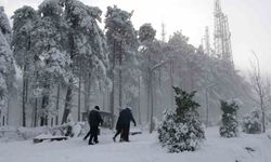 Ordu'nun 'seyir terası' Boztepe'de kar güzelliği