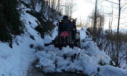 Ordu'nun yükseklerinde kar manzaraları