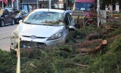 Samsun'da fırtına park halindeki otomobile zarar verdi, çatıları uçurdu