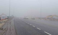 Şanlıurfa'da yoğun sis ve yağmur etkili oluyor