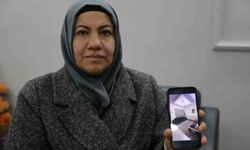 Sazan sarmalı bir ailenin hayallerini yıktı: 2 milyon lira dolandırıldılar