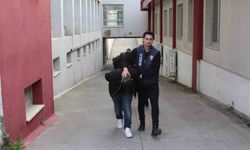 Sazan sarmalı dolandırıcılık şebekesi çökertildi: 7 tutuklu