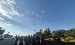 Sıla'nın hayatını kaybettiği yolda çelenkler dizildi, beyaz balonlar gökyüzüne bırakıldı
