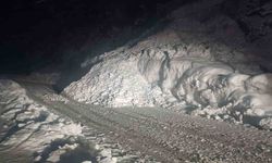 Şırnak yoluna çığ düştü, karayolu 2 saat ulaşıma kapandı