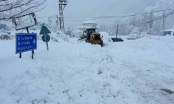 Şırnak'ta 2 hasta için zamanla yarış