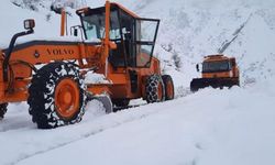 Şırnak'ta karlı yollar ulaşıma açılıyor