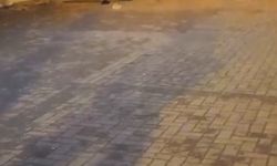 Sokak ortasında iki genç çakıyla birbirini yaraladı