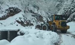 Trabzon'da 24 mahalle yolu kar nedeniyle ulaşıma kapandı