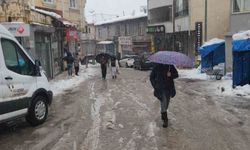 Tunceli'de kar ve fırtına etkili oldu