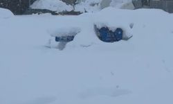 Tunceli'de kar yüküne dayanamayan iş yerinin çatısı çöktü