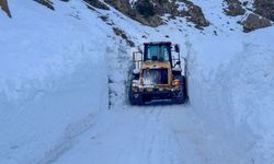 Van'da zorlu hasta kurtarma operasyonu