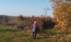 Yargıtay'dan kamulaştırma davasında emsal karar