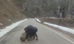 Yola düşen kayayı otomobilleriyle çektiler