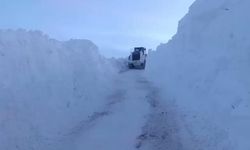 Yüksekova'da karla mücadele: İş makineleri boyunu aşan kar tünelleri oluştu