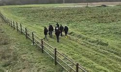 20 yıl önce işlenen 3 cinayet ekipler titiz çalışması sonrası aydınlattı