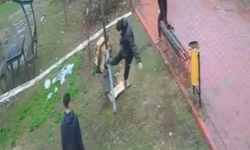 Adana'da parktaki kuş yuvasını parçaladılar