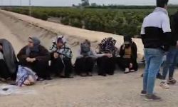 Adana'da trafik kazası: 1'i ağır 7 tarım işçisi yaralandı