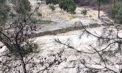 Adana'nın kuzey ilçelerinde sağanak taşkınlara neden oldu