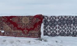 Ağrı'da dondurucu soğuk etkisini sürdürüyor