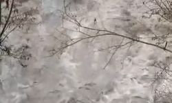 Ankara'da sağanak sele yol açtı