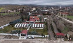 Ankaralı iki kardeş azmetti, hayallerini kır bahçesine dönüştürdü